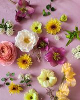 Setting Your Flowers Up For Success