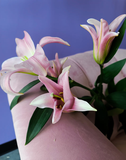 Celebrating Easter with A Look At the History of Easter Lilies